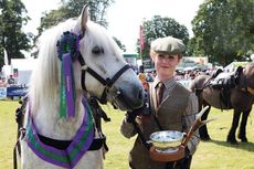 Stalking pony winner
