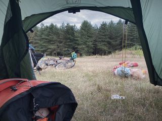 Cosmo plays outside the tent