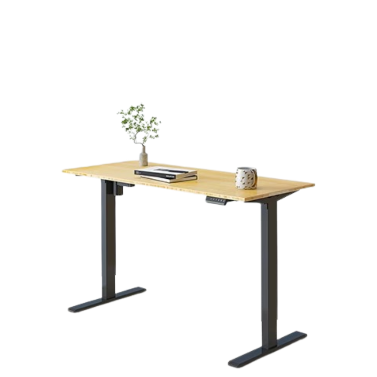 FlexiSpot E2 on a white background with a cup and plant on top