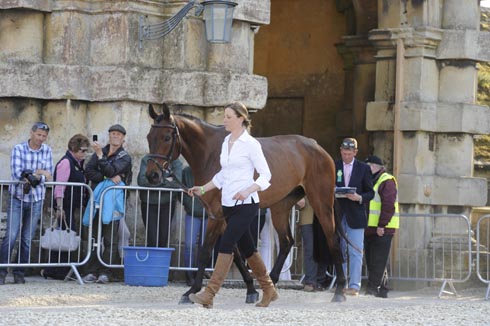 Rebecca Howard (CAN) riding Riddle Master at the first vet check of The Mitsubishi Motors Badminton Horse Trials