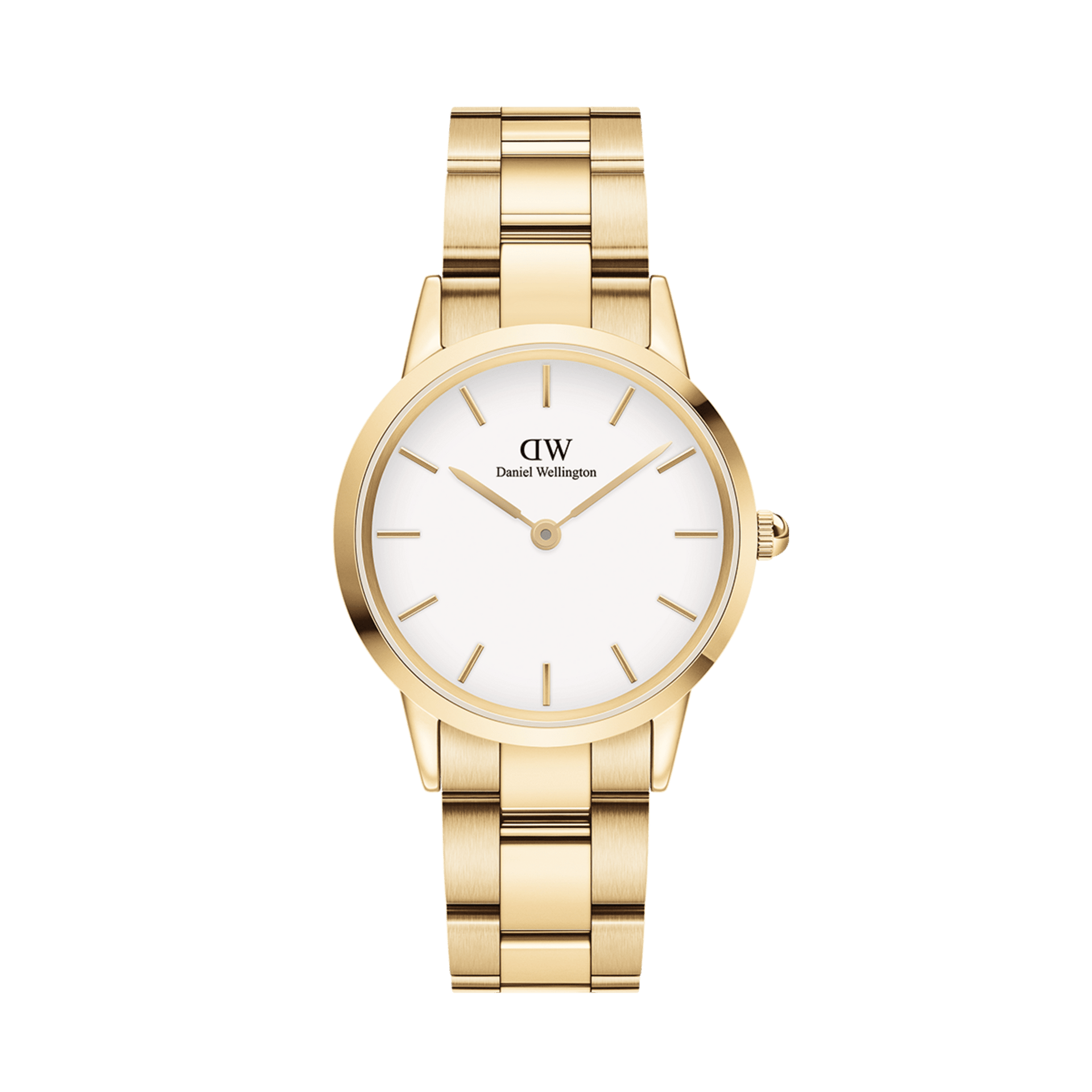 Iconic Link Gold - Gold / 28mm