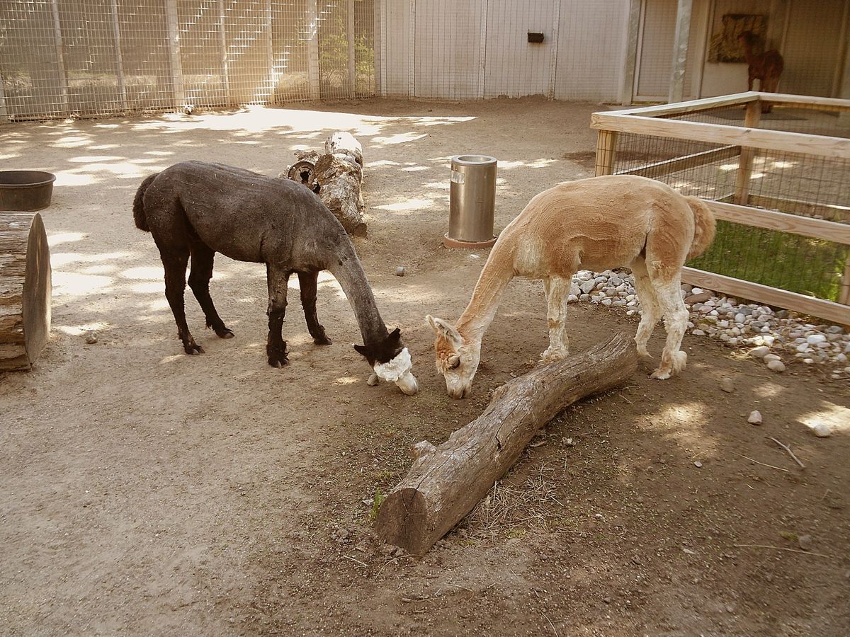 Sample image taken with the Camp Snap 2
