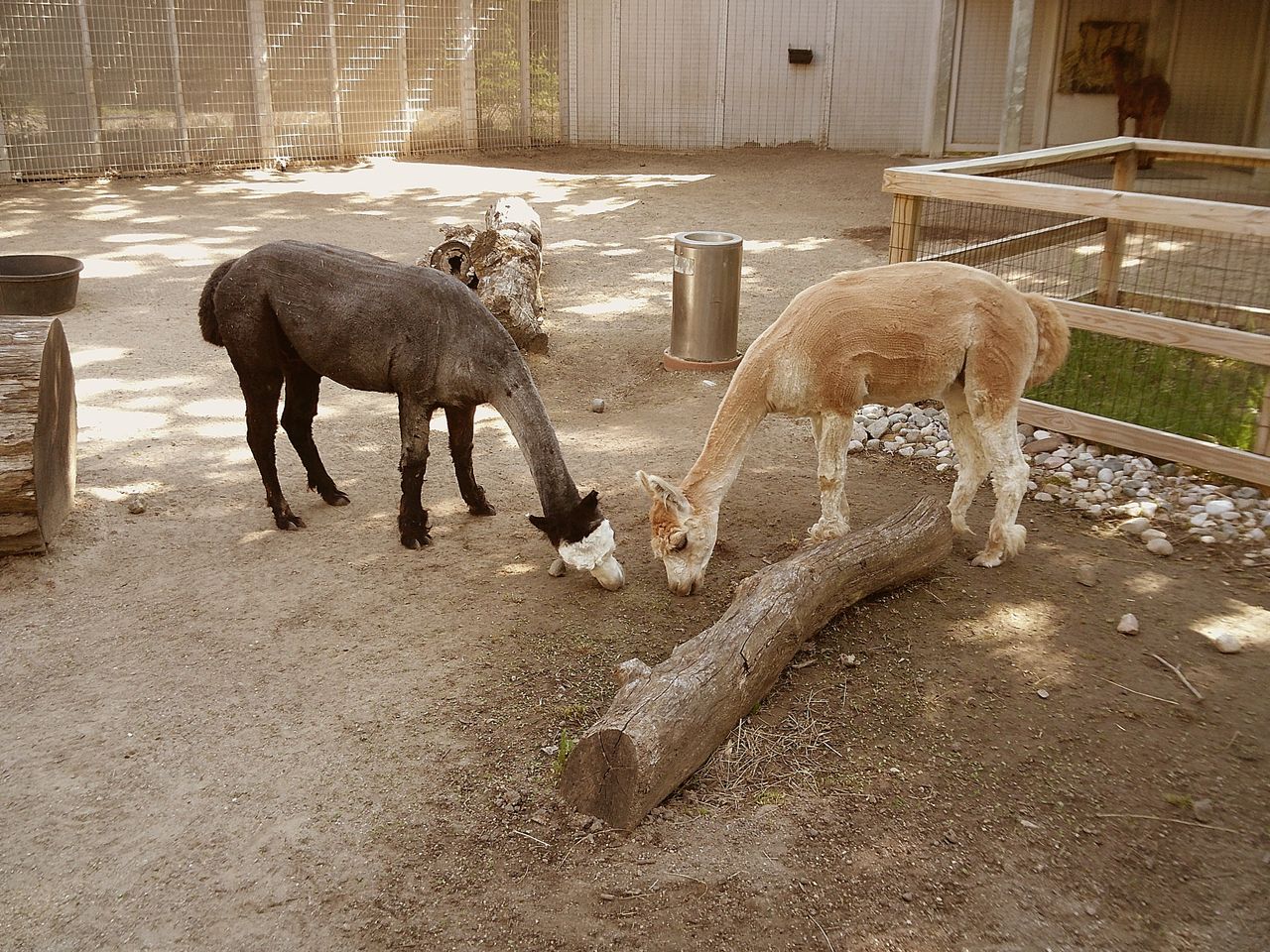 Sample image taken with the Camp Snap 2