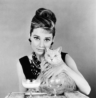 Audrey Hepburn with her feline co-star in 1961's 'Breakfast at Tiffany's'