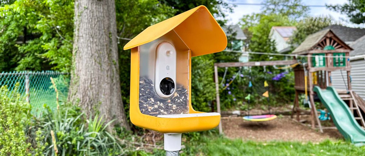 Bird Buddy installed outside