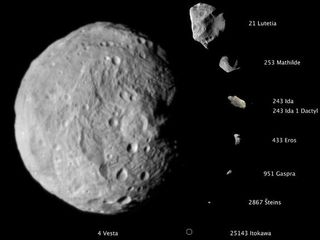 This composite image shows the comparative sizes of eight asteroids. Until now, Lutetia, with a diameter of 81 miles (130 kilometers), was the largest asteroid visited by a spacecraft, which occurred during a flyby. Vesta, which is also considered a protoplanet because it's a large body that almost became a planet, dwarfs all other small bodies in this image, with diameter of approximately 330 miles (530 km).