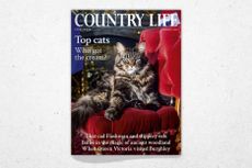 Cover of Country Life March 25, 2026 