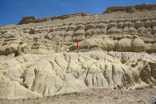Exposures of sediments in the Zanda Basin where the skeleton of the Zanda horse was excavated