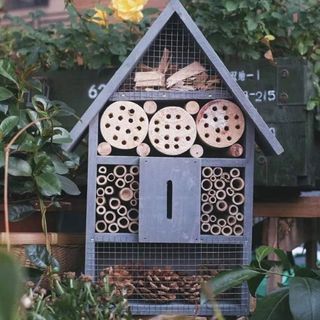 Bee hotel located in a garden