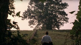 Morgan Freeman walks towards a huge tree in an open field in The Shawshank Redemption.