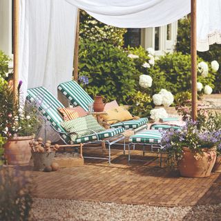 Striped sun loungers in the garden surrounded byh terracotta flower pots