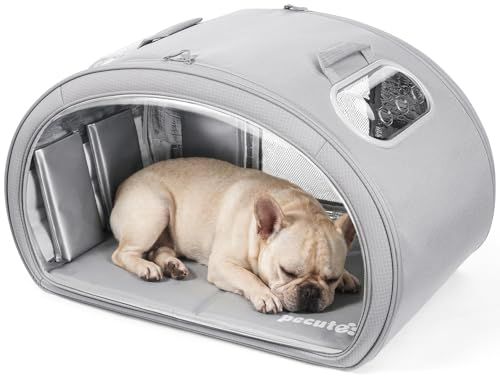 Cat & Dog Cooling House