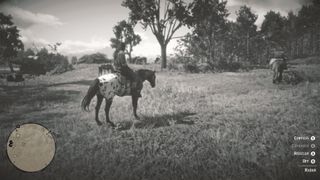 Best Red Dead Redemption 2 settings to make sure you've fine tuned your ...