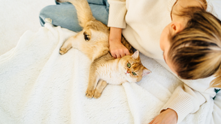 Pet sitter woman lying on a bed with a cat