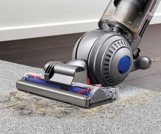Dyson Ball Animal 2 vacuuming dirt from the carpet