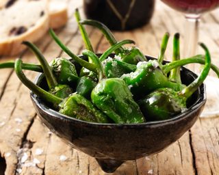 Whole cooked Padron peppers snack with sea salt