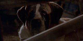 Cujo Cast