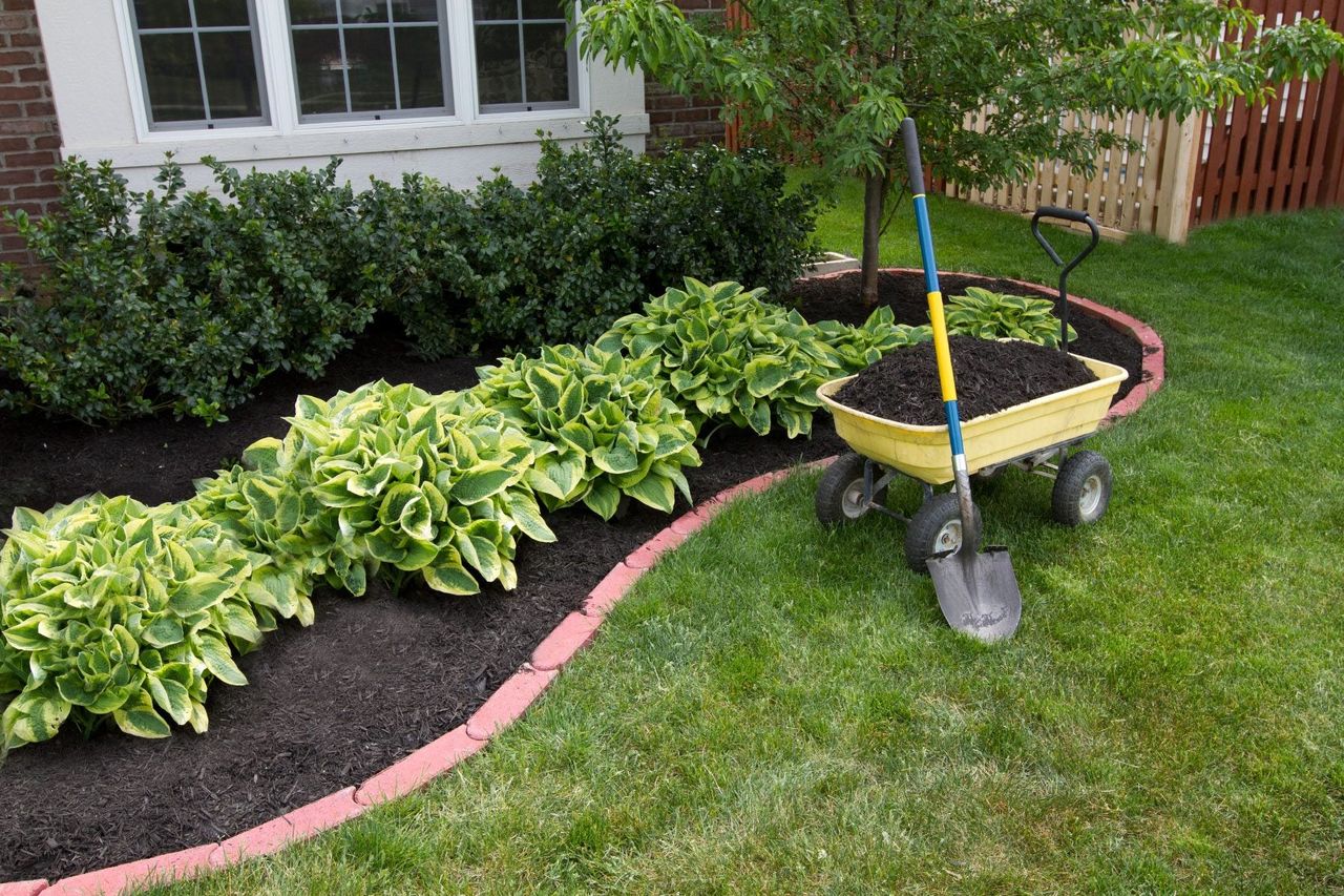 Plants Getting Fresh Mulch