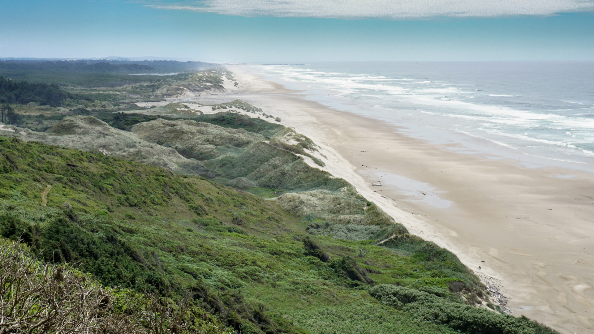 Green bushes and grass on the left and a long sandy beach with crashing waves on the right.