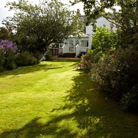 Back sunny garden with a view of a house