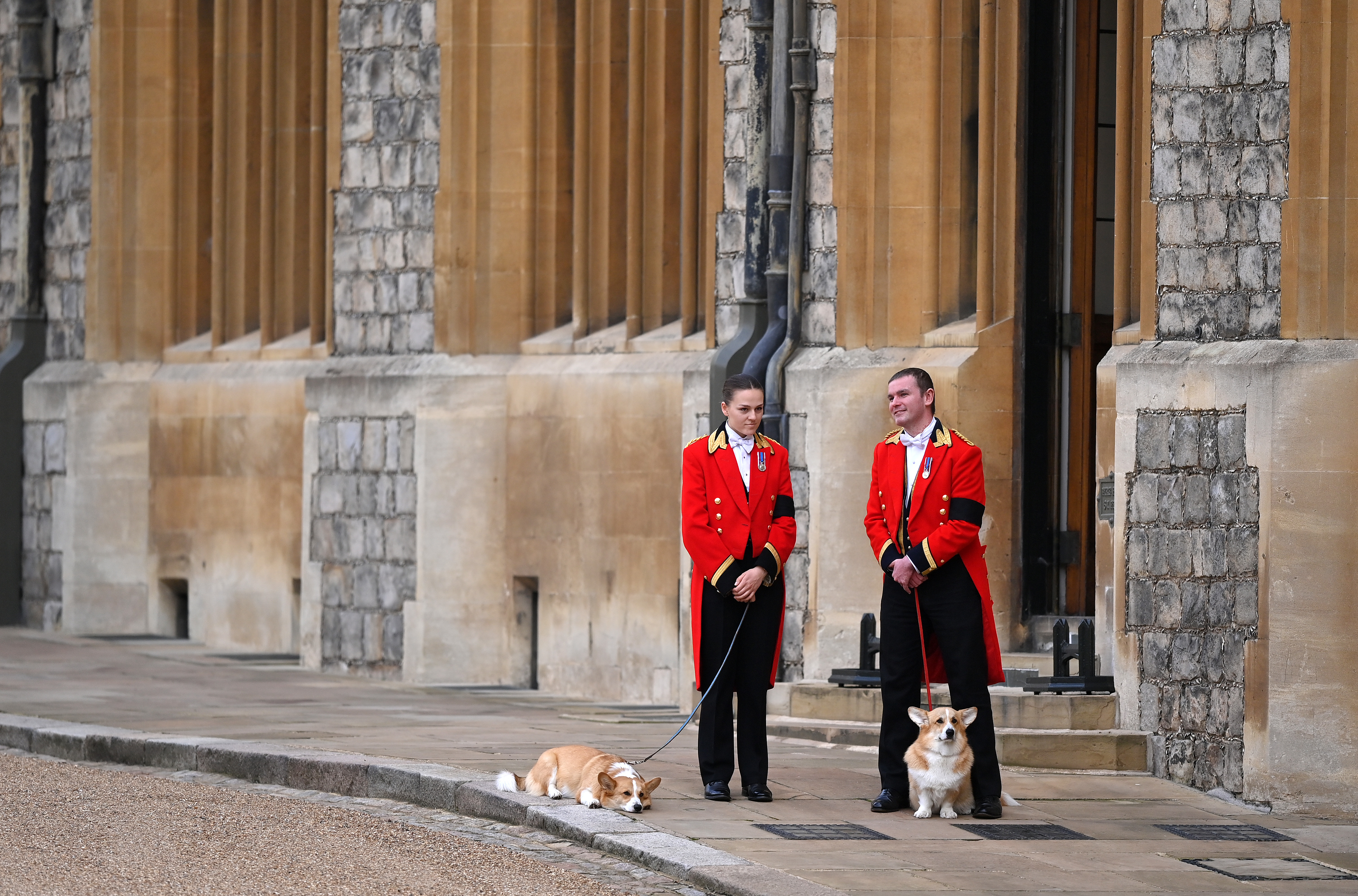 Sandy and Muick the corgis at Queen Elizabeth's funeral being held by two staffers in red uniforms