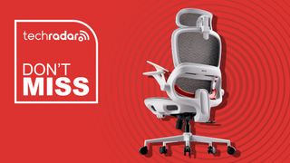 Sihoo B100 Office Chair