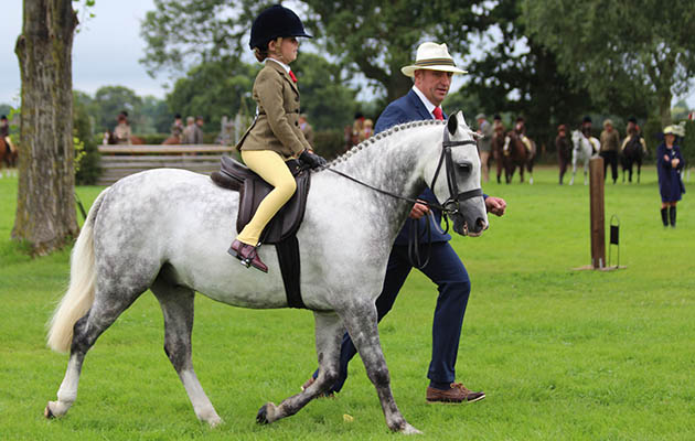 lead-rein of show hunter type final Georgie Grace &amp;amp; Priestwood Roc Star, handler John Harvey IMG_1709