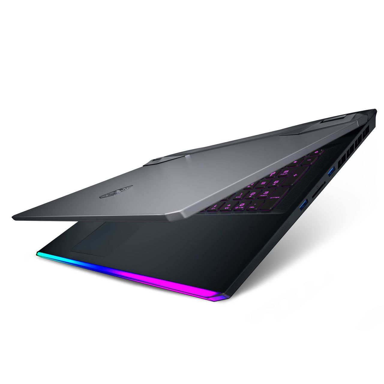 Msi Raider