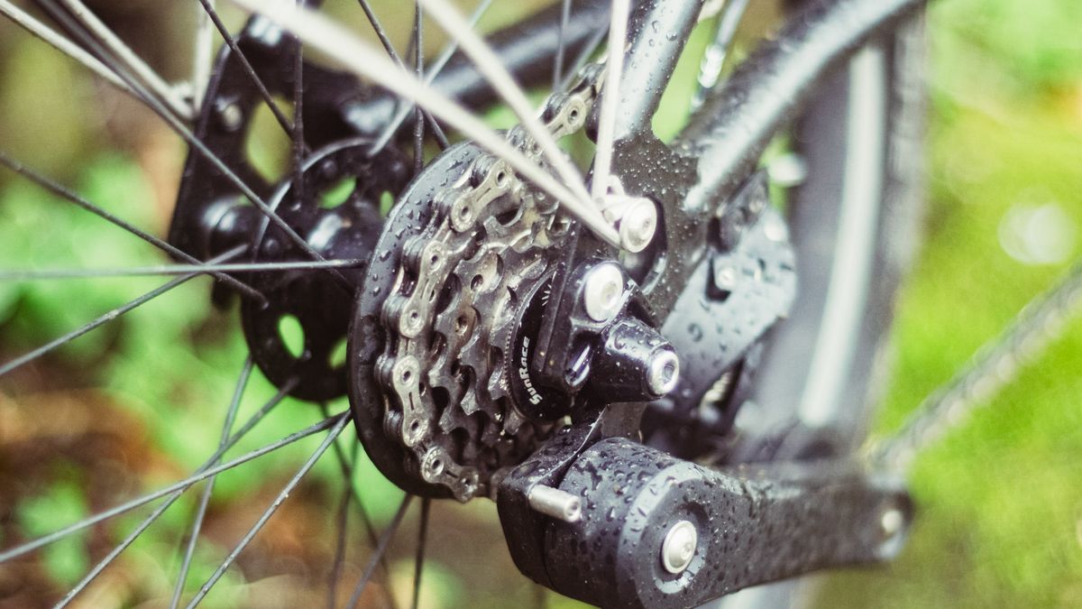 The rear derailleur of a Brompton P-Line