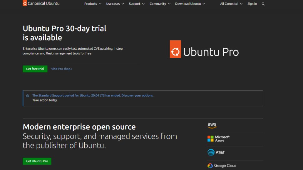 Website screenshot of Ubuntu (August, 2025)