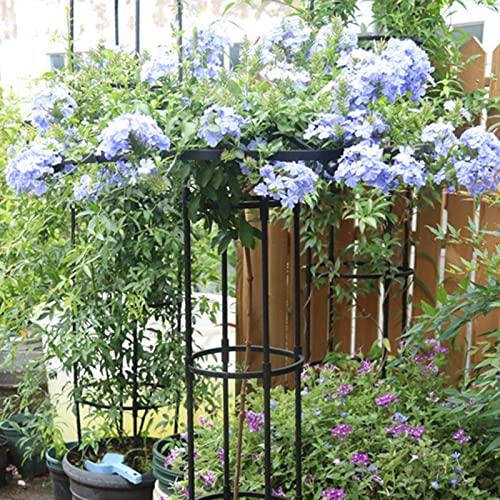Woyufen 210cm Rustproof Metal Garden Vertical Umbrella Trellis for Climbing Plants Potted Vines Vegetables Flowers Patio Metal Lattices Grid Tower for Ivy Roses Cucumbers Clematis Pots