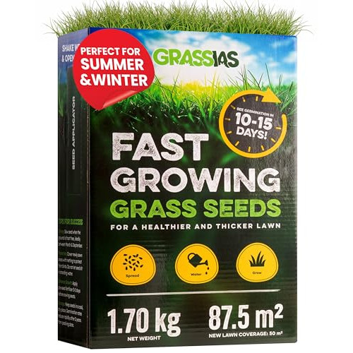 grassias fast growing lawn seed