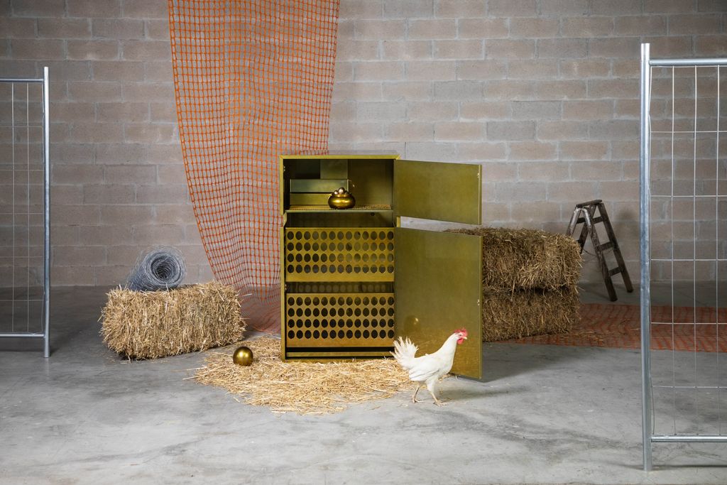 Cockerel and metal designer chicken coop