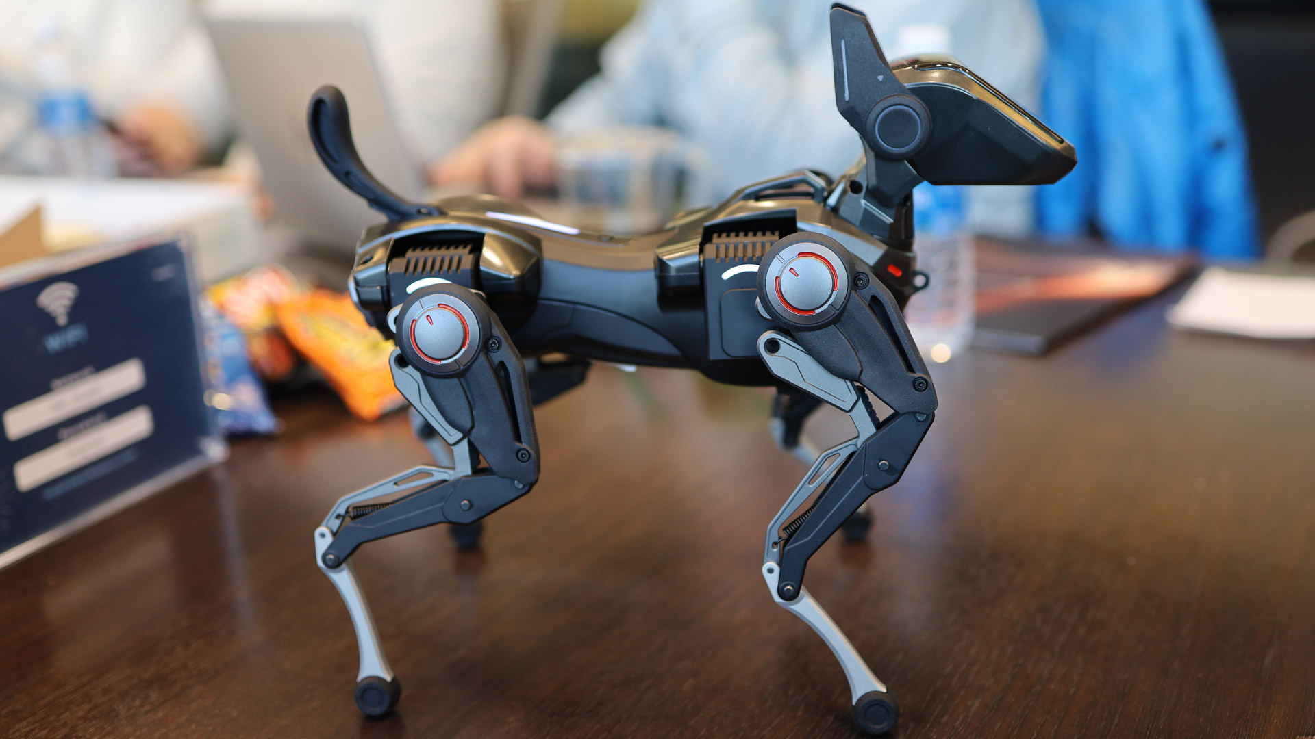 Hengbot Sirius robot Dog