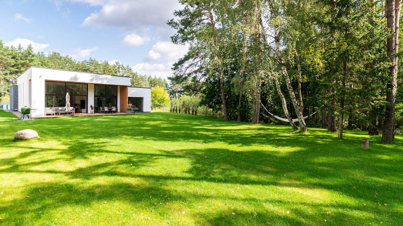 A lush green backyard lawn backed by trees