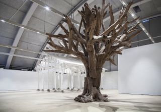 Helsinki Art Museum reopens with blockbuster Ai Weiwei show