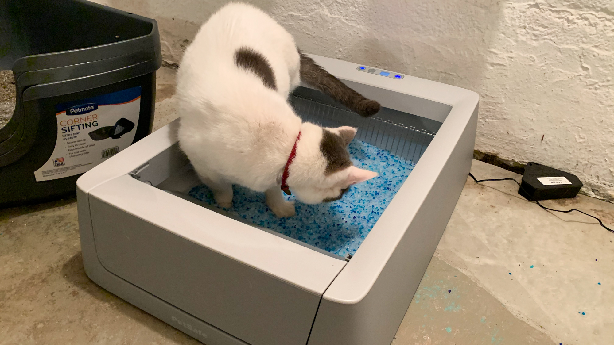 Petsafe ScoopFree Smart Self-Cleaning Litterbox review