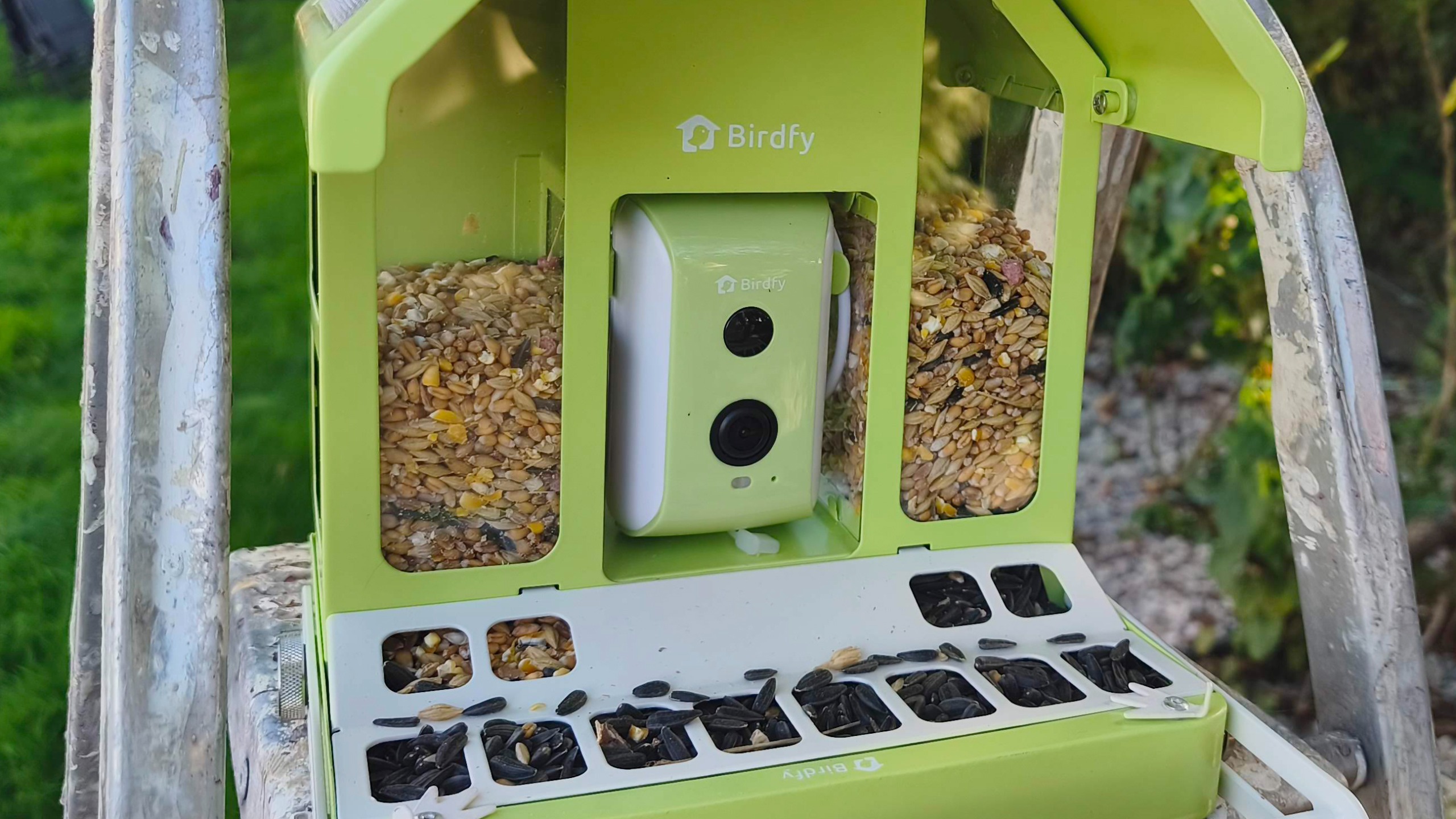 Birdfy Feeder Metal