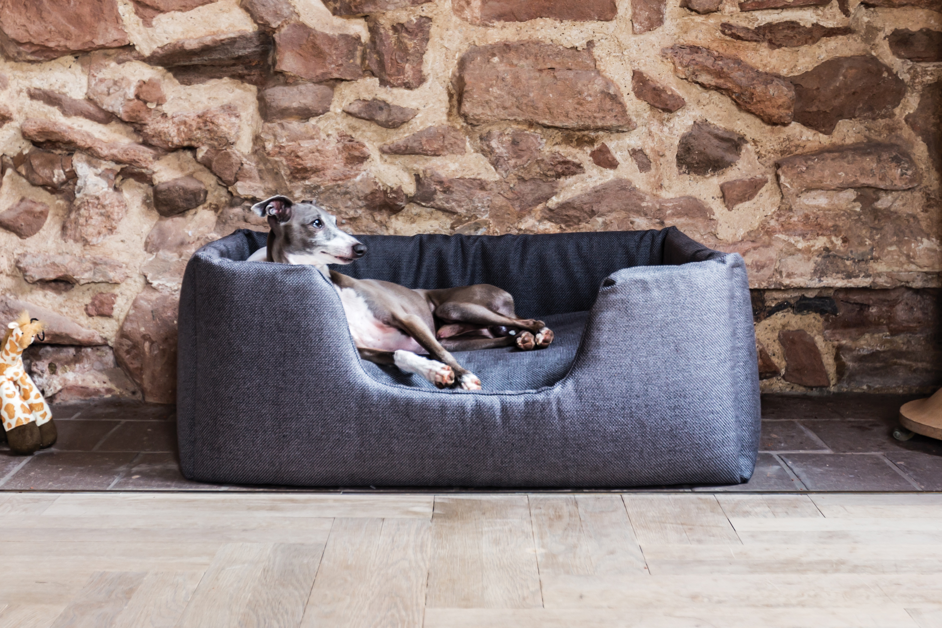Denim blue squishy dog bed with a greyhound inside