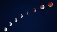 A composite image showing the different phases of a total lunar eclipse arrayed in an arc travelling from bottom left to top right.