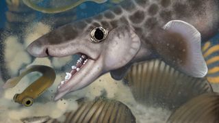 An illustration of Macadens olson hunting in the Mississippian Sea.