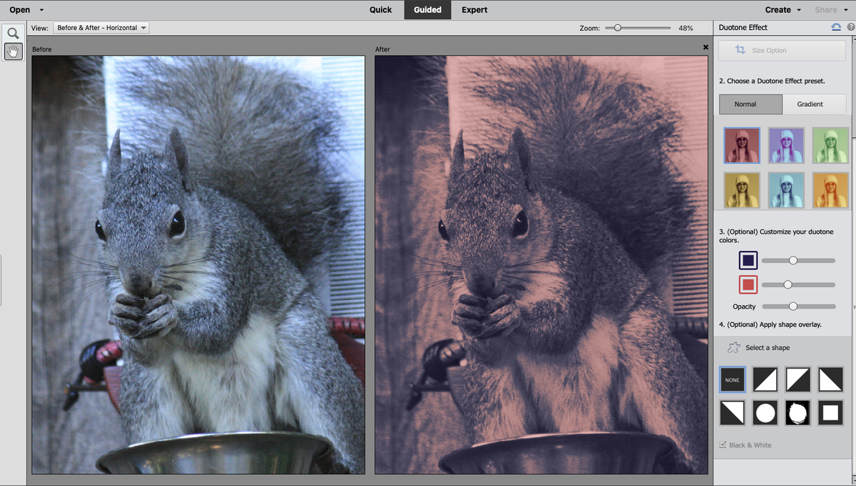 Adobe Photoshop Elements 2021 review
