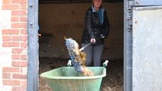 HAH00.lb_stockautumn21.DSC_0359.jpg