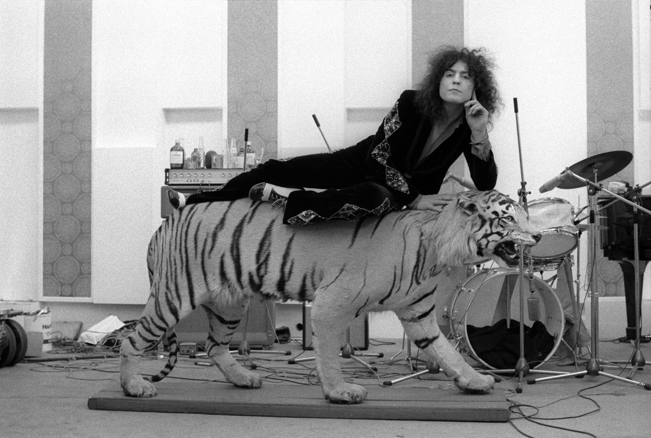 Marc Bolan of T. Rex lies on a stuffed tiger in a recording studio