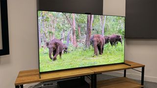 The Sony A95L TV playing a nature documentary