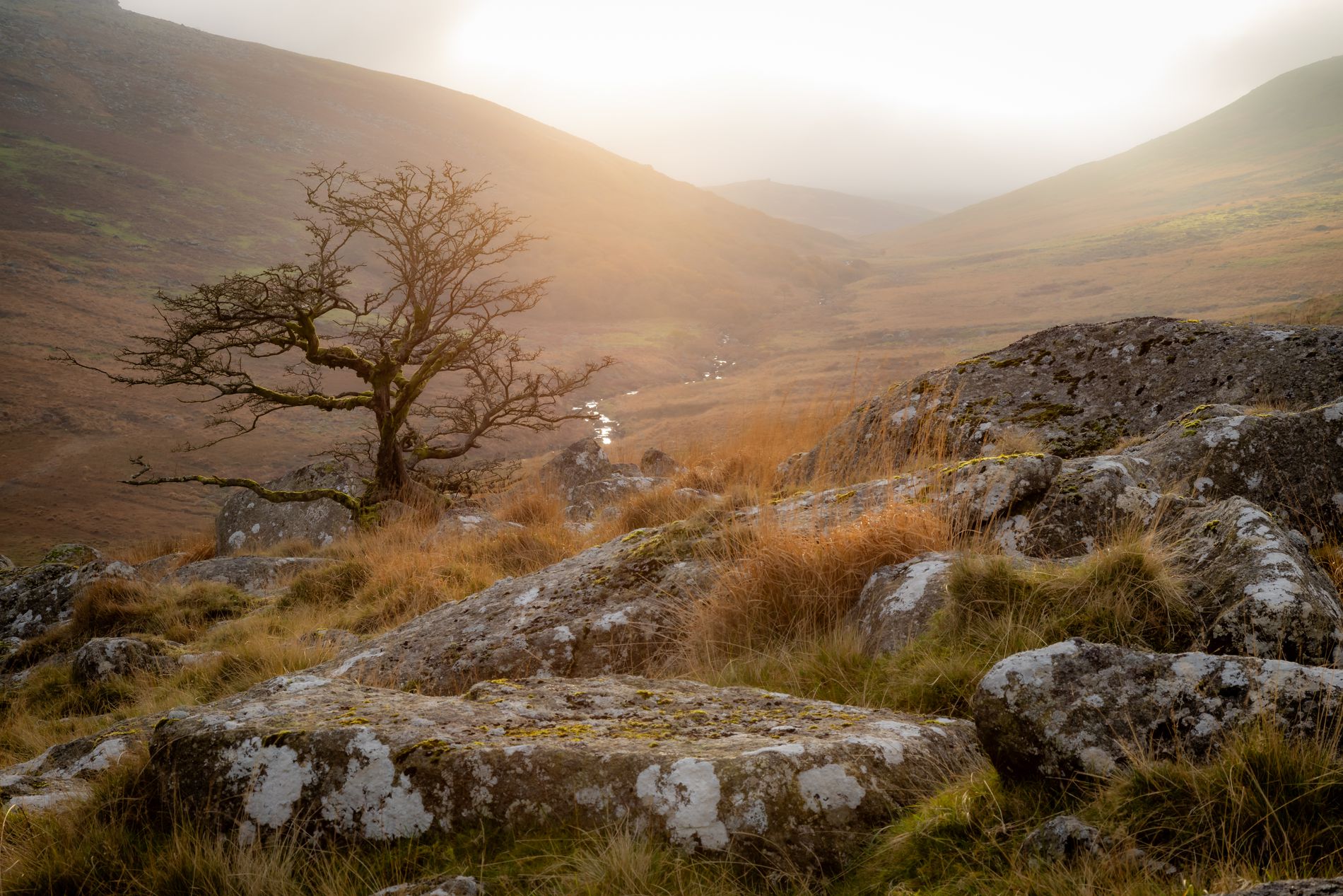 GuruShots - March 2026