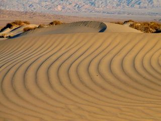 nps-5-mesquite-flat-sand-dunes-2-110414-02