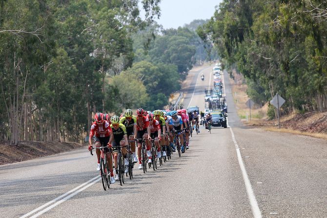 Sunweb and Mitchelton-Scott work hard on the front of the chase group to catch the breakaway late on stage 3 of the 2020 Herald Sun Tour