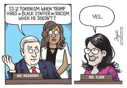 Political Cartoon U.S. Identity Politics Mark Meadows Rashida Tlaib Cohen racism
