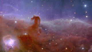 Euclid's view of the horsehead nebula, showing purple swirls of gas on a starry background